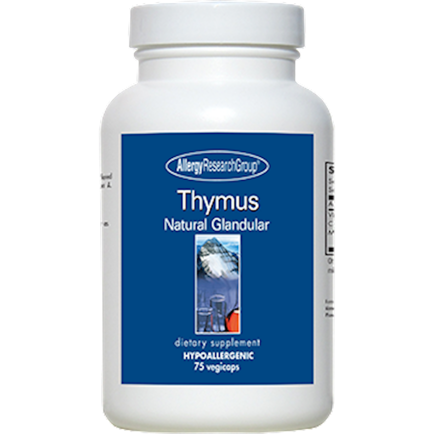 Thymus