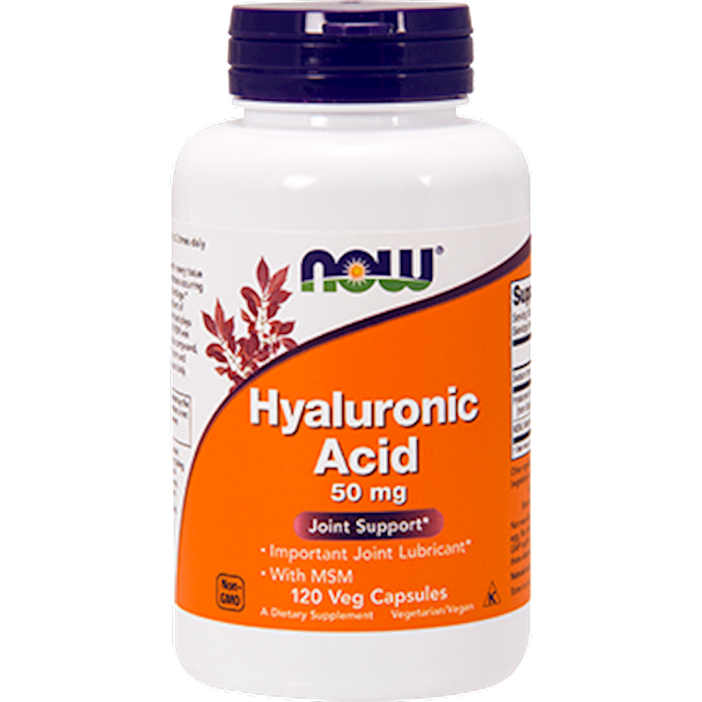 Hyaluronic Acid with MSM 120 vcaps