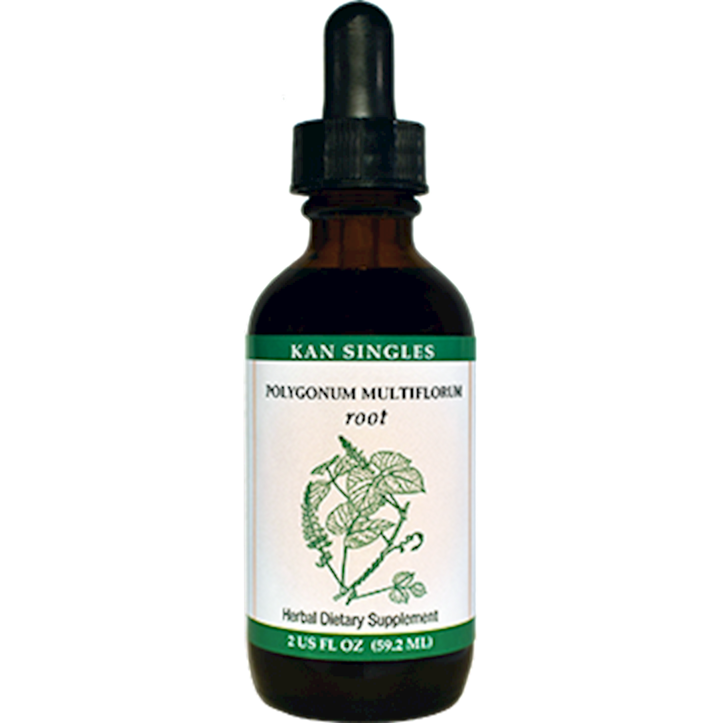 Polygonum Multiflorum (fo-ti) root