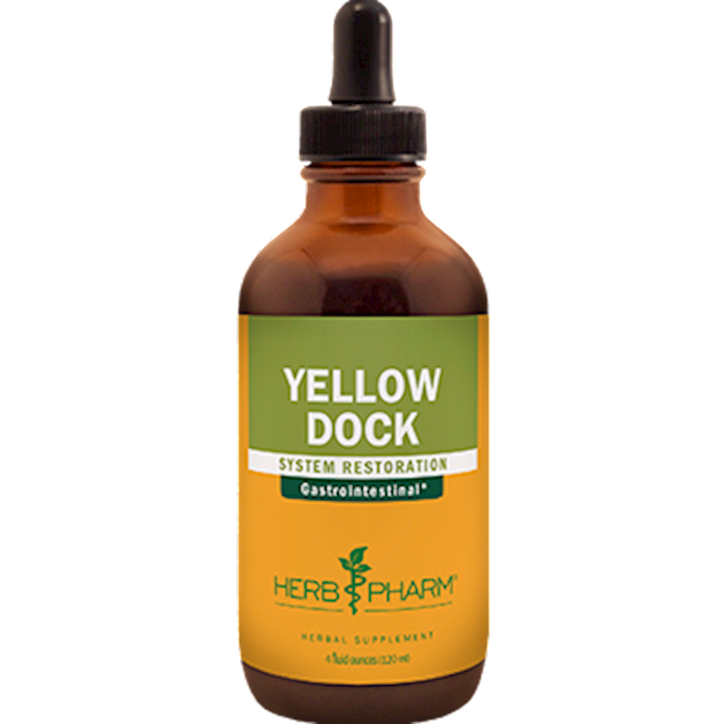 Yellow Dock