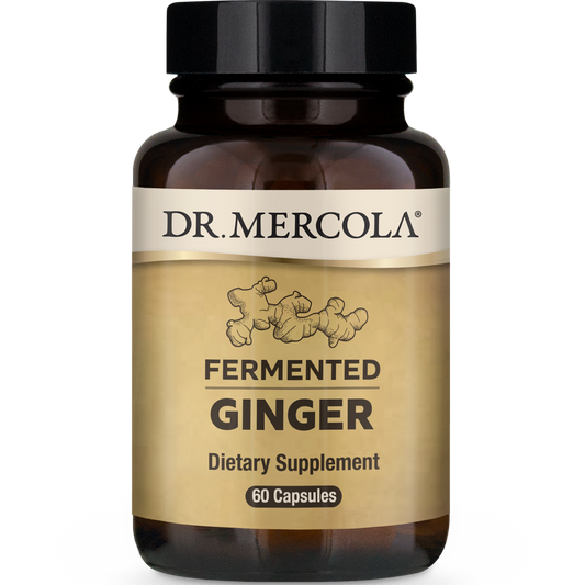 Fermented Ginger