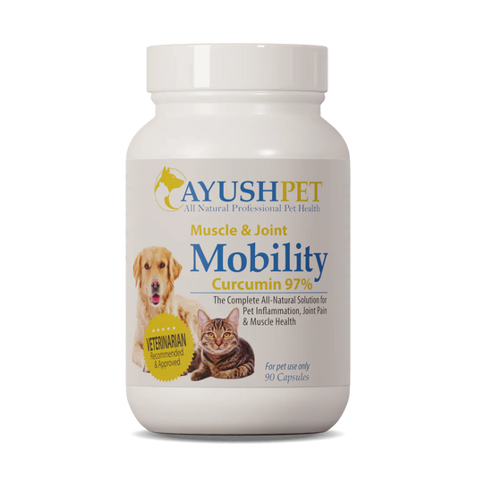 Pet Mobility Curcumin 97%