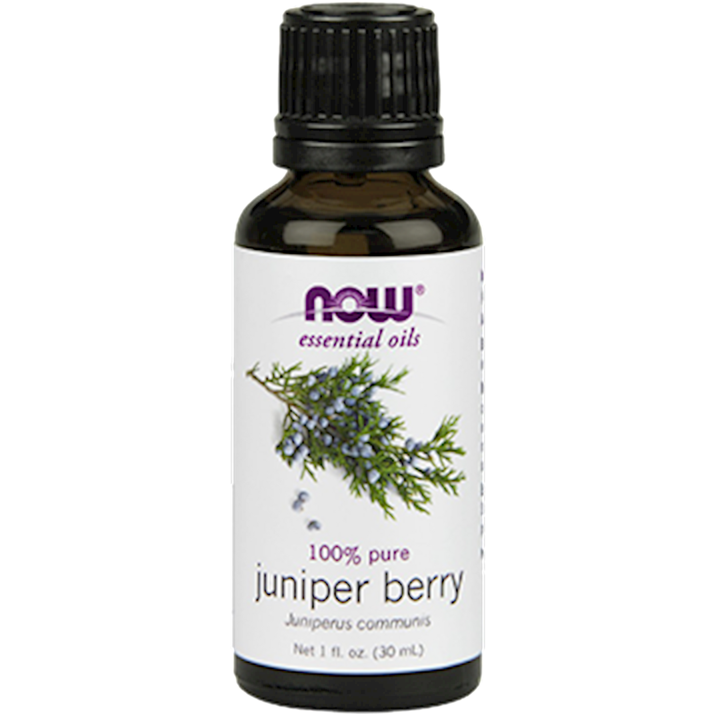 Juniper Berry
